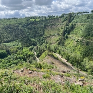 Trail à proximité d'Extratrail Malmedy, dans la vallée de la Warche